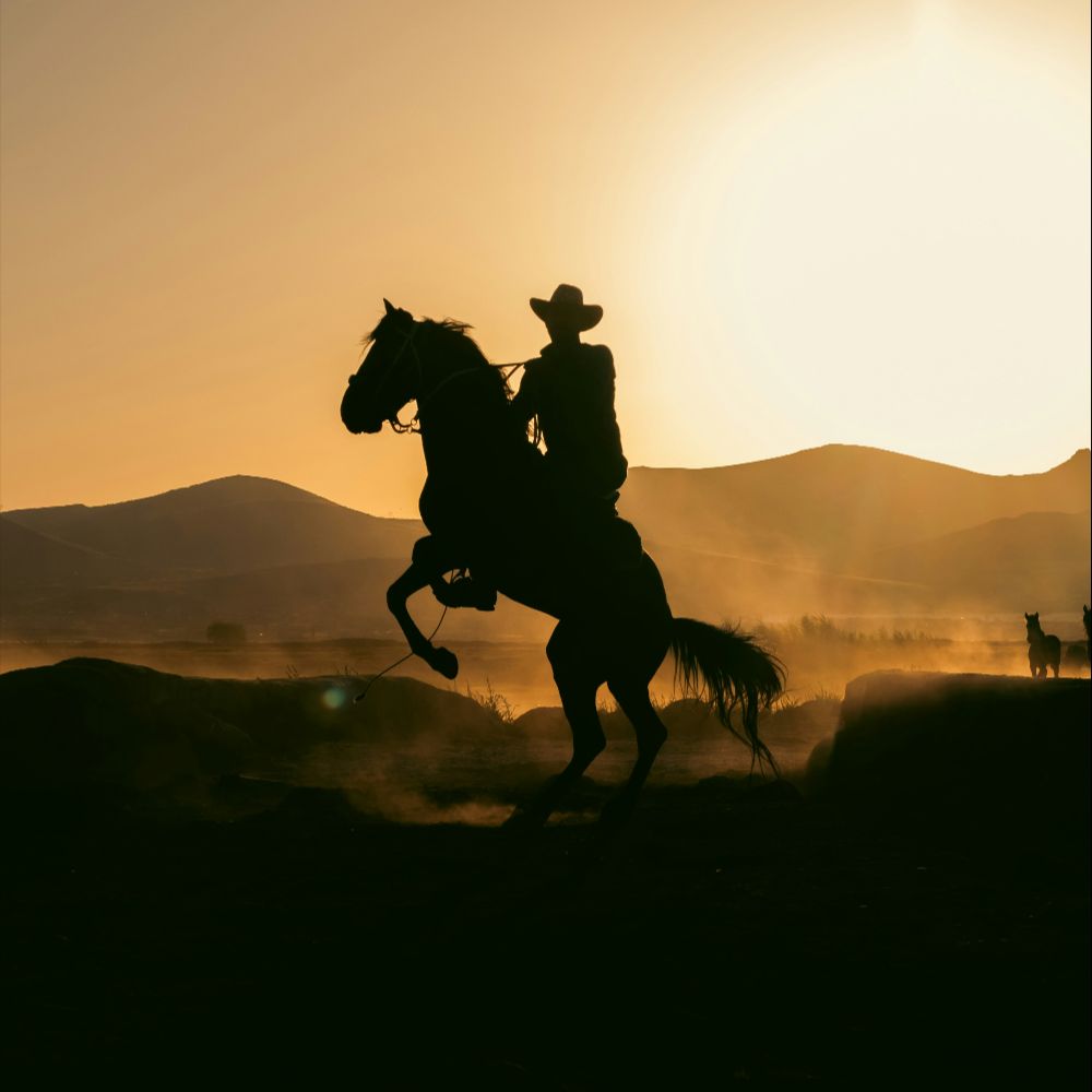 Ranch, Rodeo, Romantik: 11 Cowboy Romance Bücher